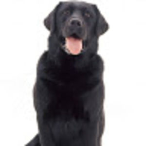 Meet your Posher, Anahi